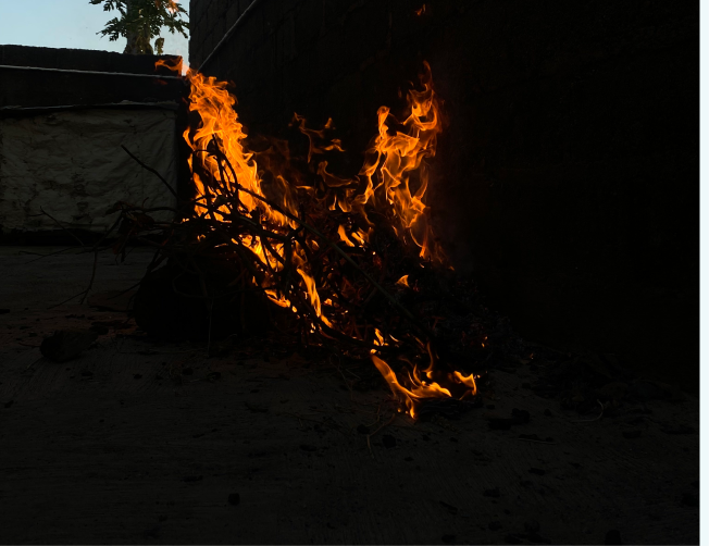 Photography work 11